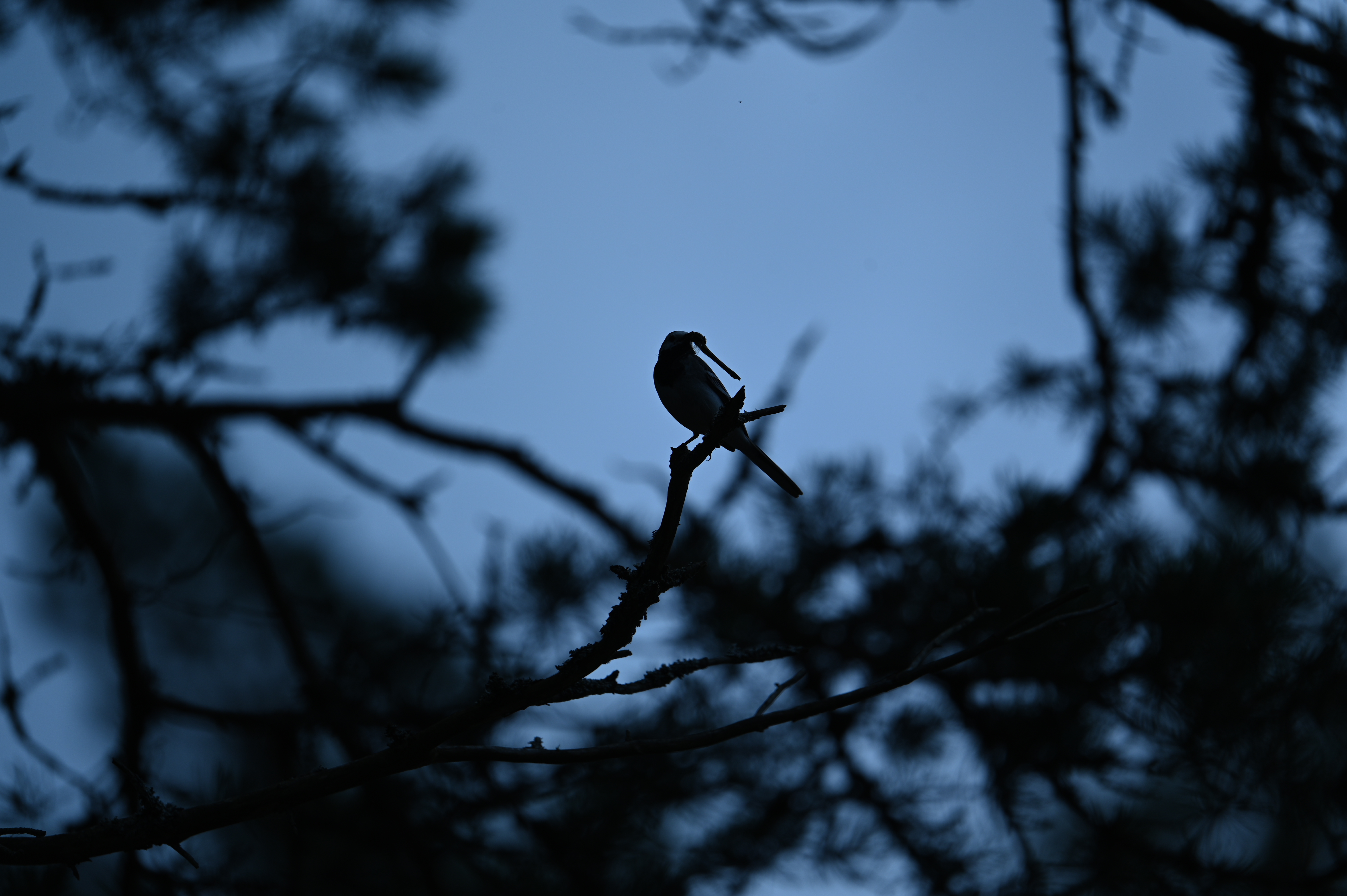 2025/07/09-14 - trip/DSC_0383.JPG